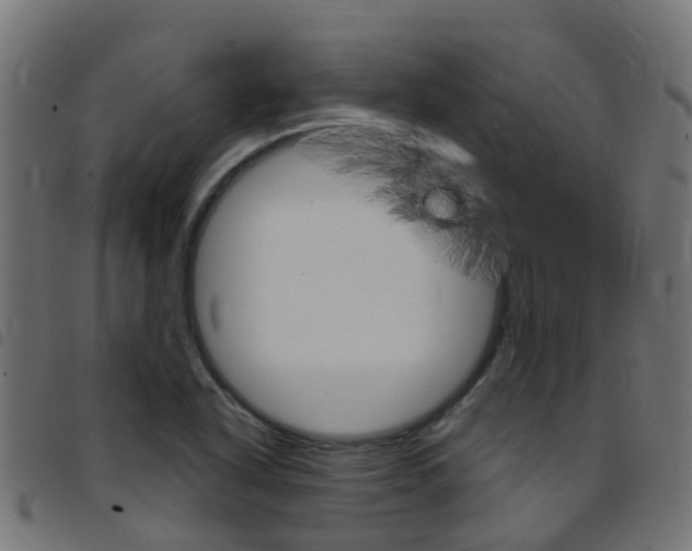 X0000097751318200803070833