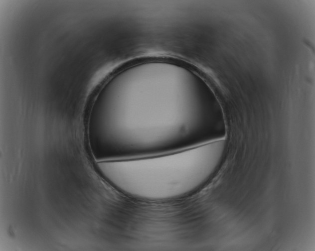 X0000097751319200803070833