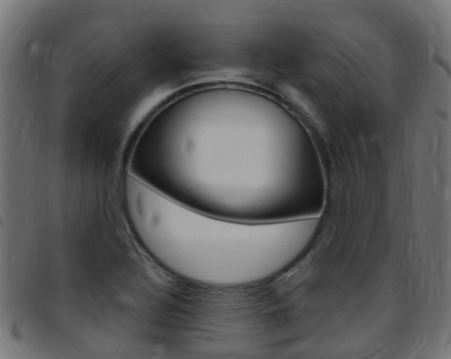 X0000097751320200803070833