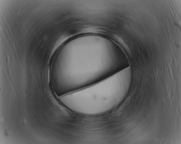 X0000097751323200803070833