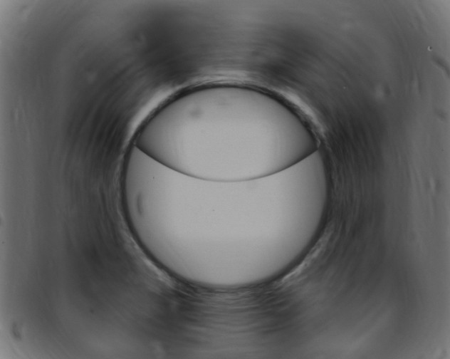 X0000097751325200803070833
