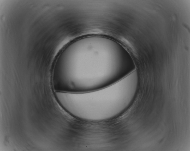 X0000097751326200803070833