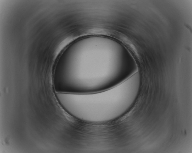 X0000097751328200803070833
