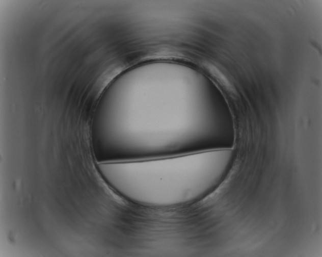 X0000097751329200803070833