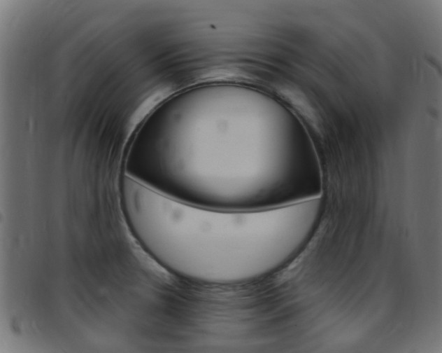 X0000097751330200803070833