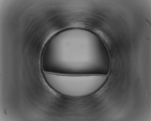X0000097751331200803070833