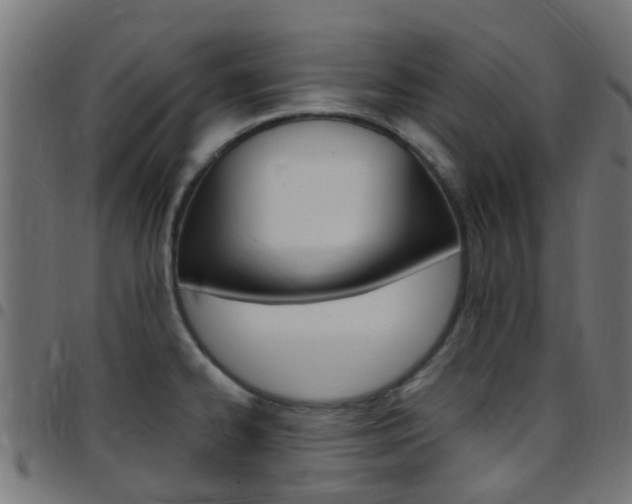 X0000097751334200803070833