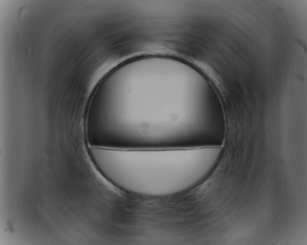 X0000097751335200803070833