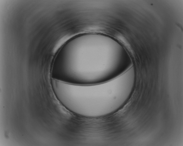X0000097751336200803070833