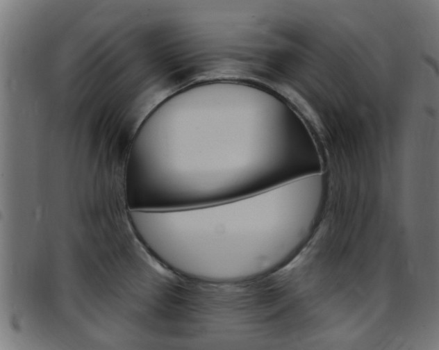 X0000097751337200803070833