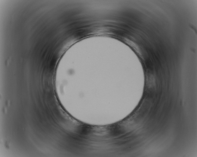 X0000097751338200803070833
