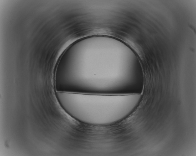 X0000097751339200803070833