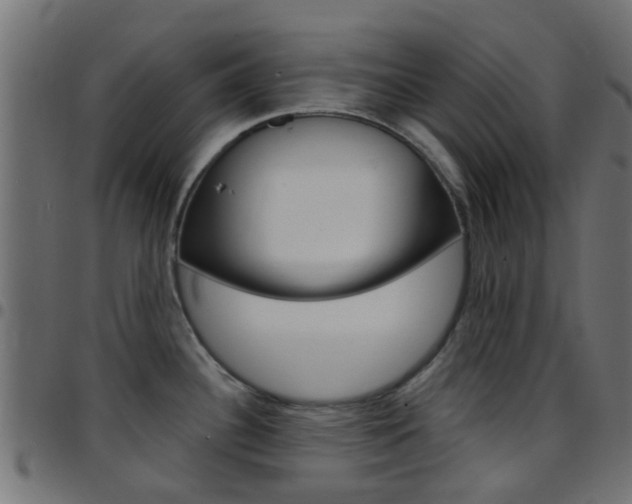 X0000097751340200803070833
