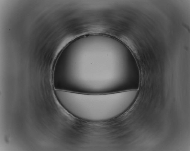 X0000097751342200803070833
