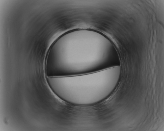 X0000097751343200803070833