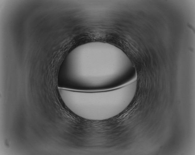 X0000097751345200803070832