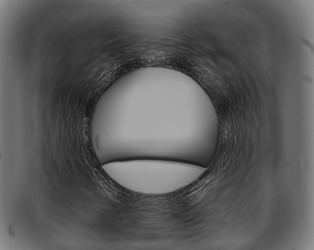 X0000097751346200803070832