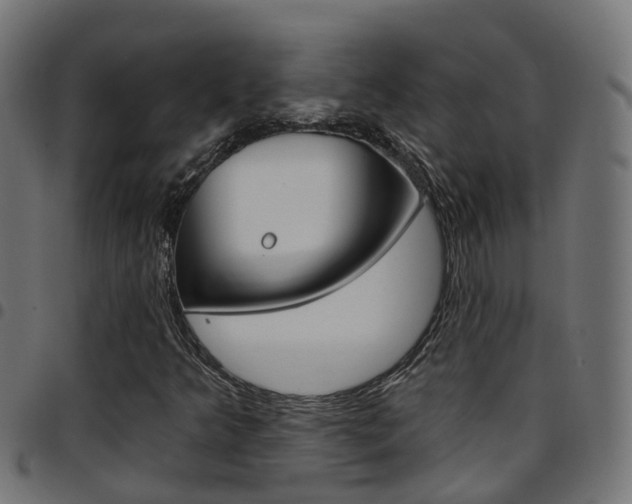 X0000097751349200803070832