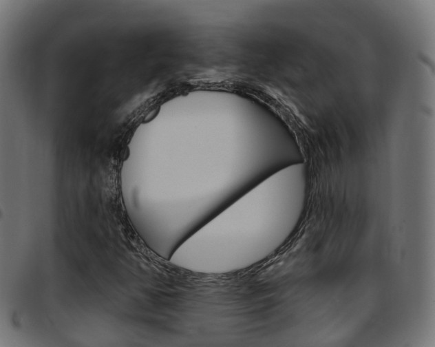 X0000097751350200803070832