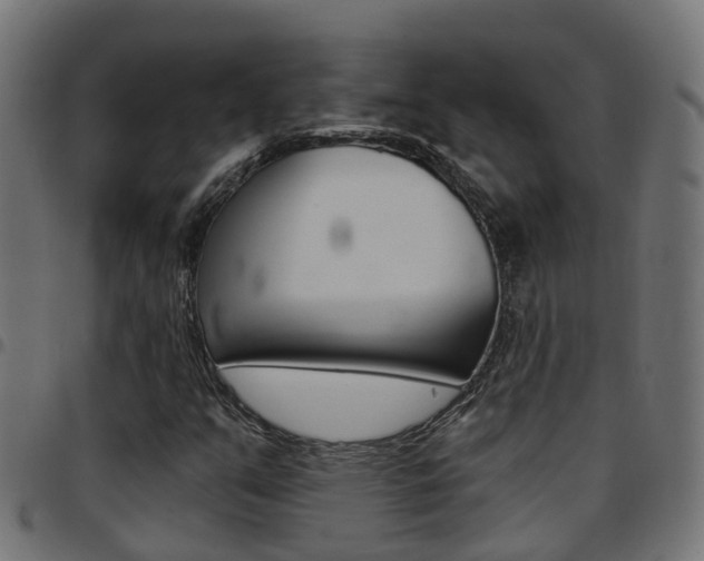 X0000097751351200803070832