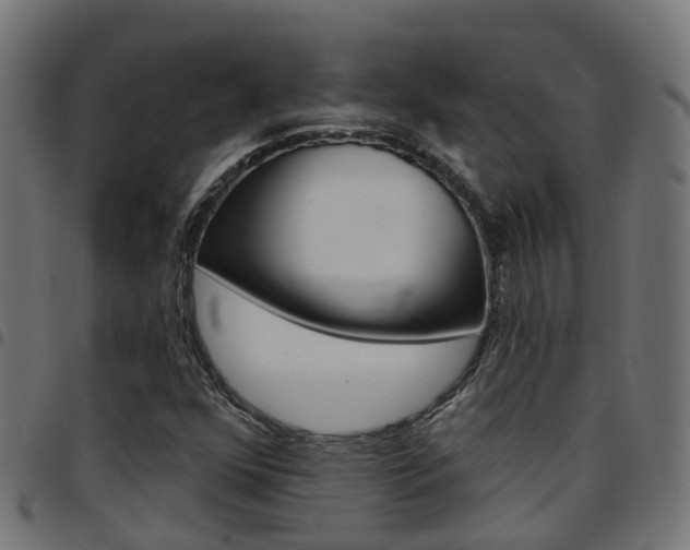 X0000097751352200803070832