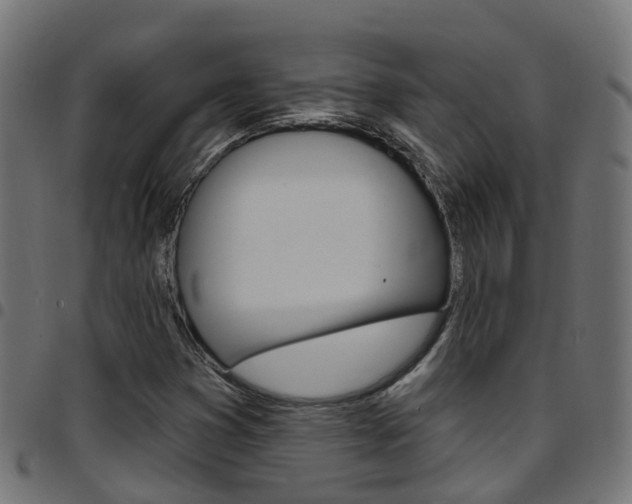 X0000097751353200803070832