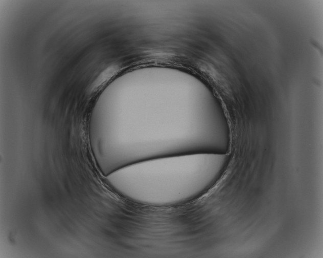 X0000097751354200803070832