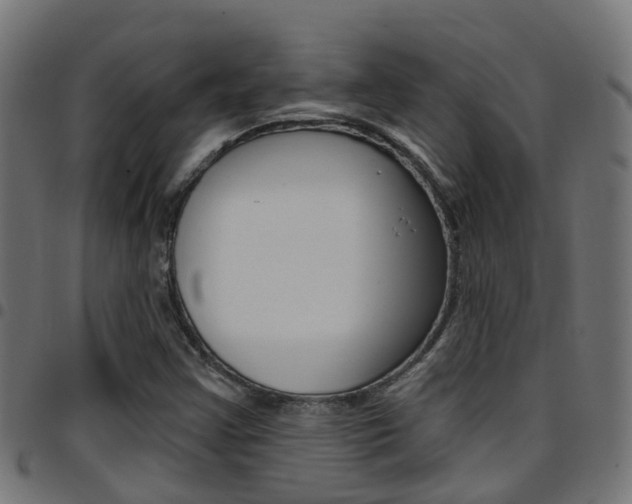 X0000097751355200803070832