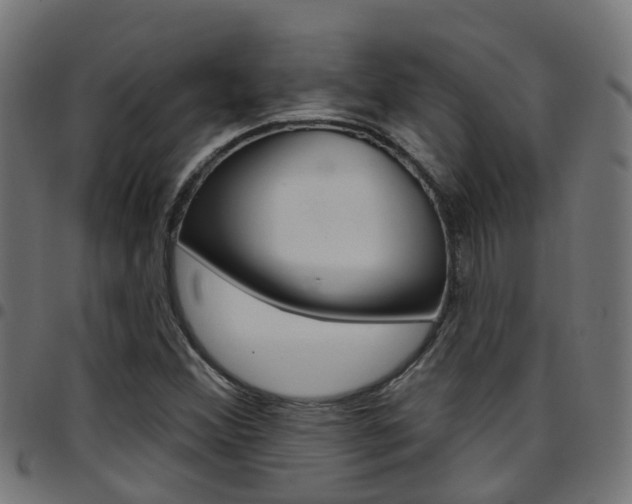 X0000097751356200803070832