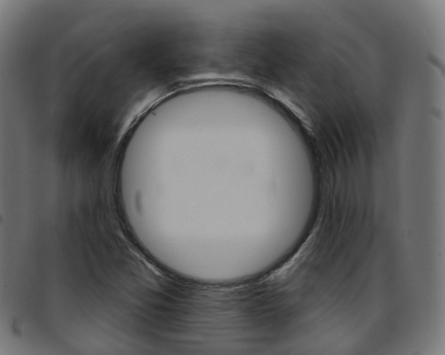 X0000097751357200803070832