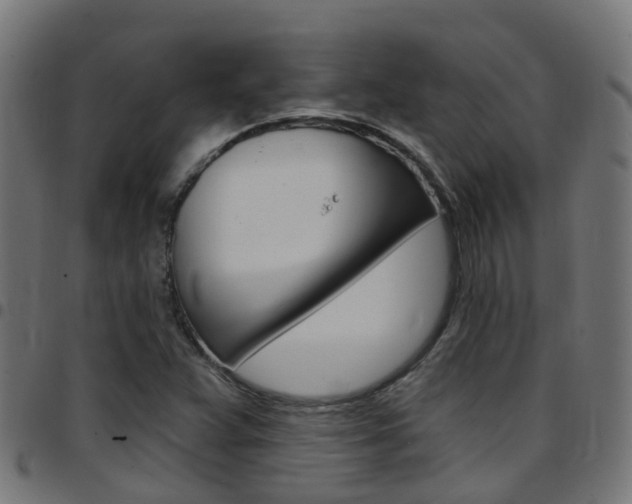 X0000097751359200803070832