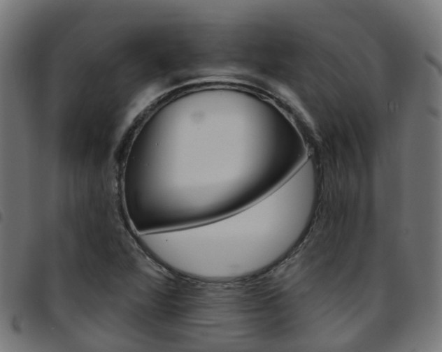 X0000097751360200803070832