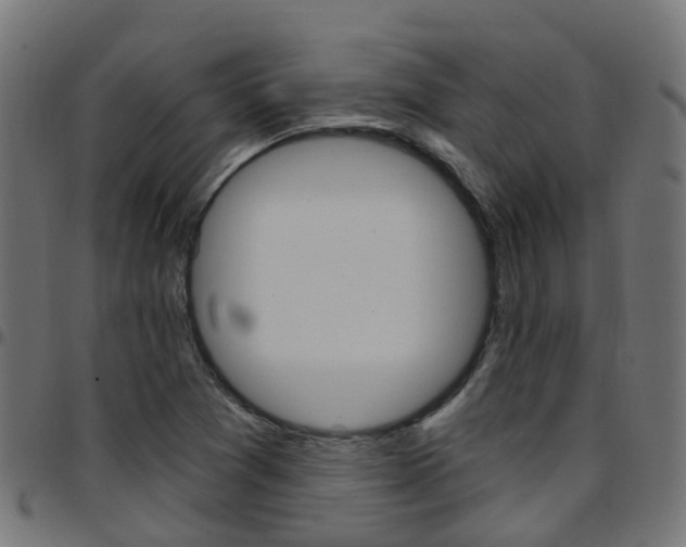 X0000097751361200803070832