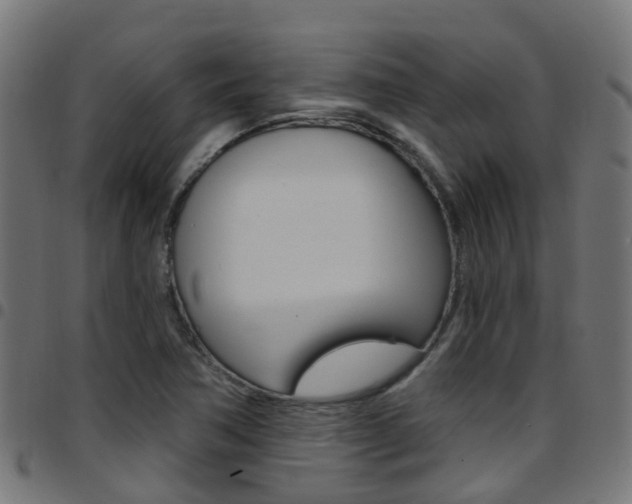 X0000097751362200803070832