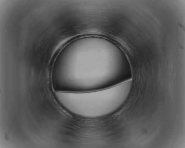 X0000097751364200803070832