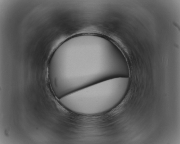 X0000097751366200803070832