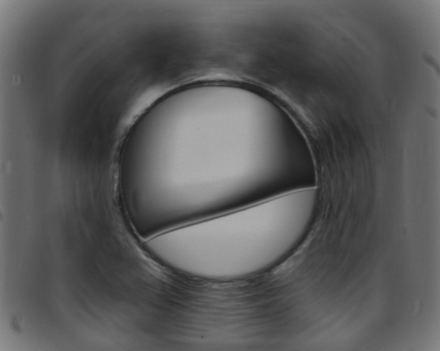 X0000097751367200803070832