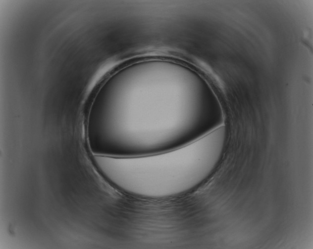 X0000097751368200803070832
