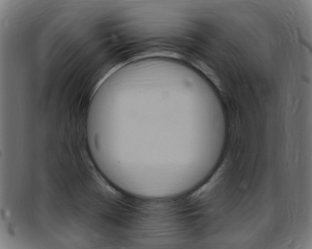 X0000097751369200803070832