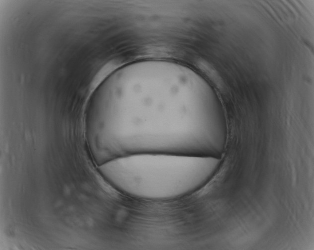X0000097751370200803070832