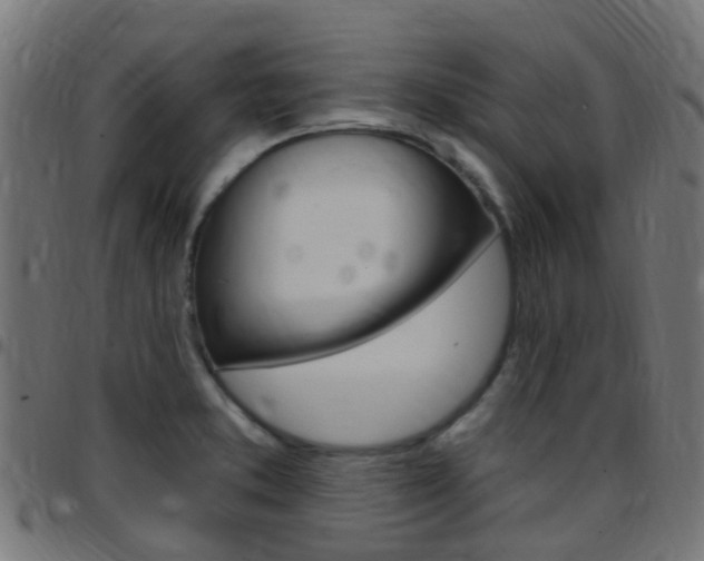 X0000097751373200803070832