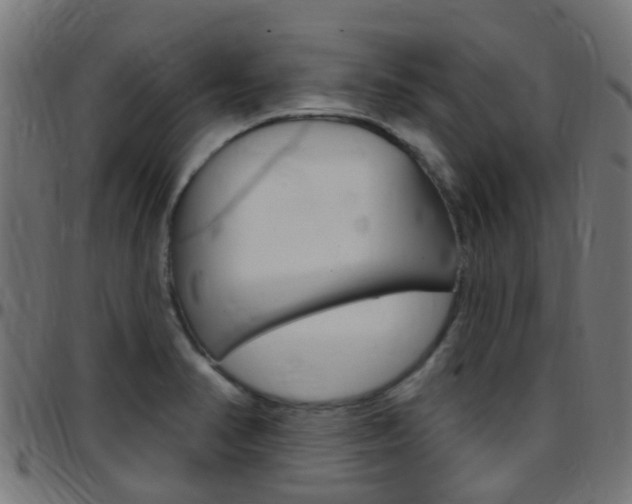 X0000097751374200803070832