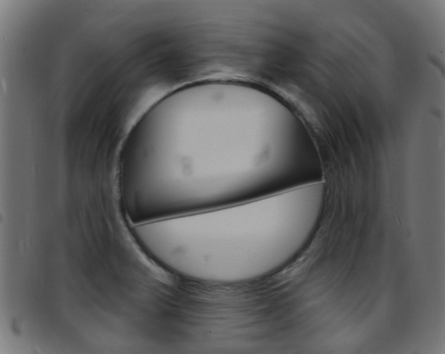 X0000097751375200803070832