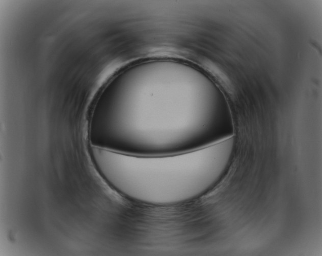 X0000097751376200803070832