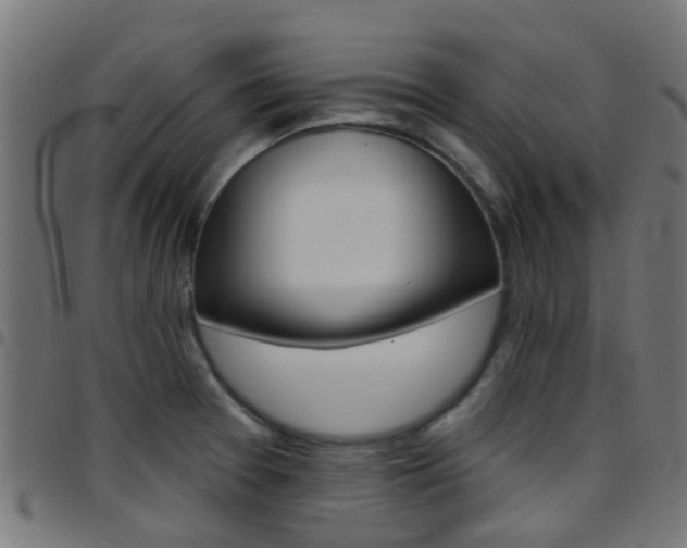 X0000097751377200803070832