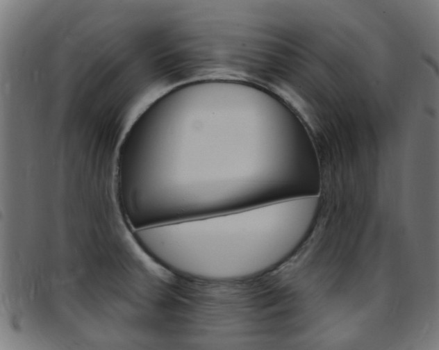 X0000097751379200803070832