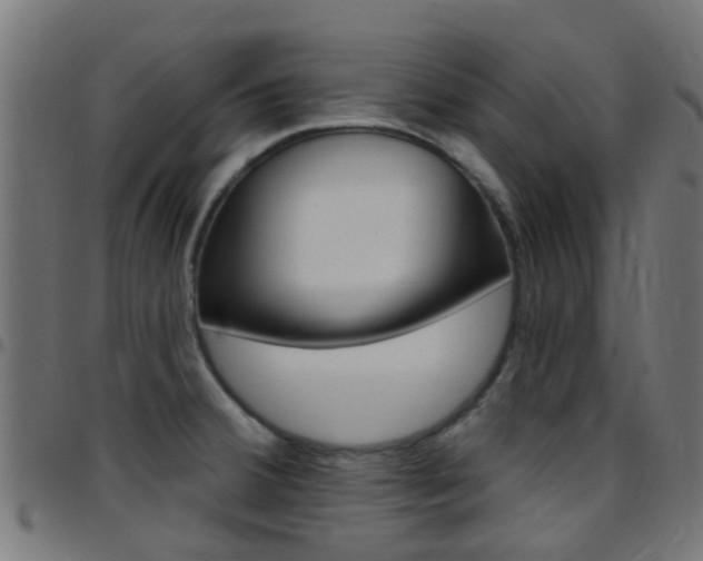 X0000097751380200803070832