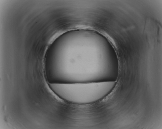X0000097751381200803070832