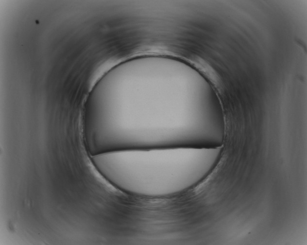 X0000097751382200803070832