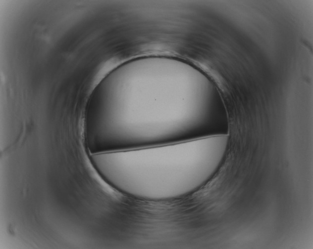 X0000097751383200803070832